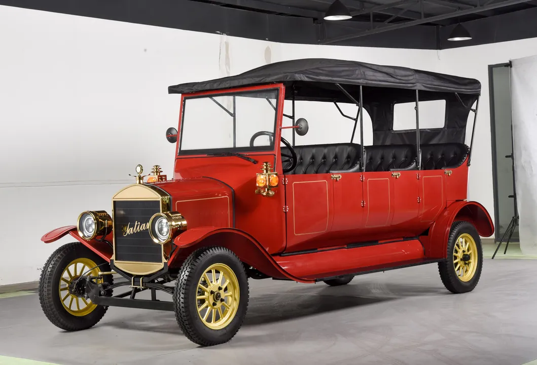 Sightseeing Golf Car 1