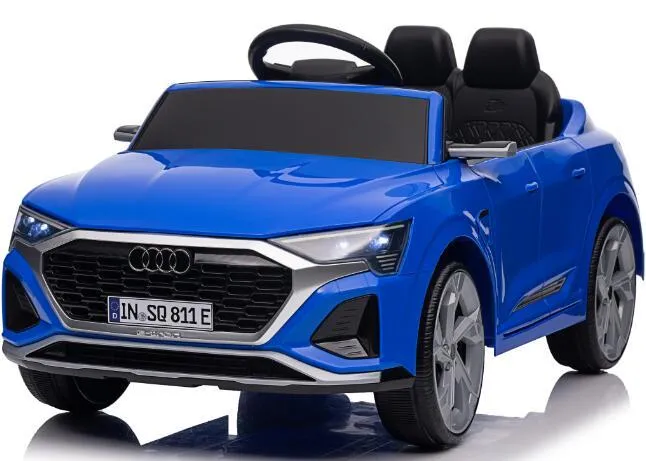 Audi Licensed Car Detail