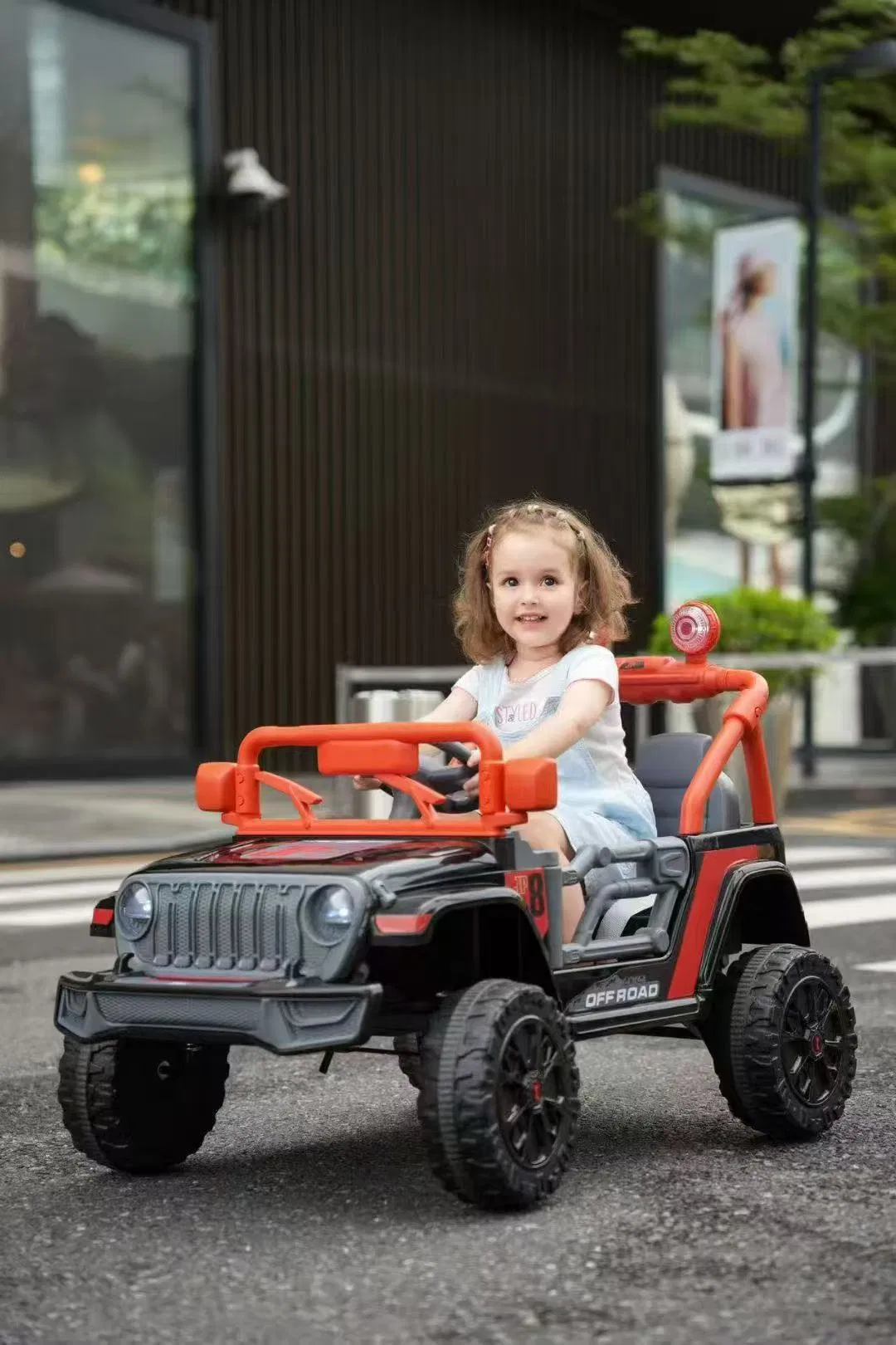 Electric Car Details