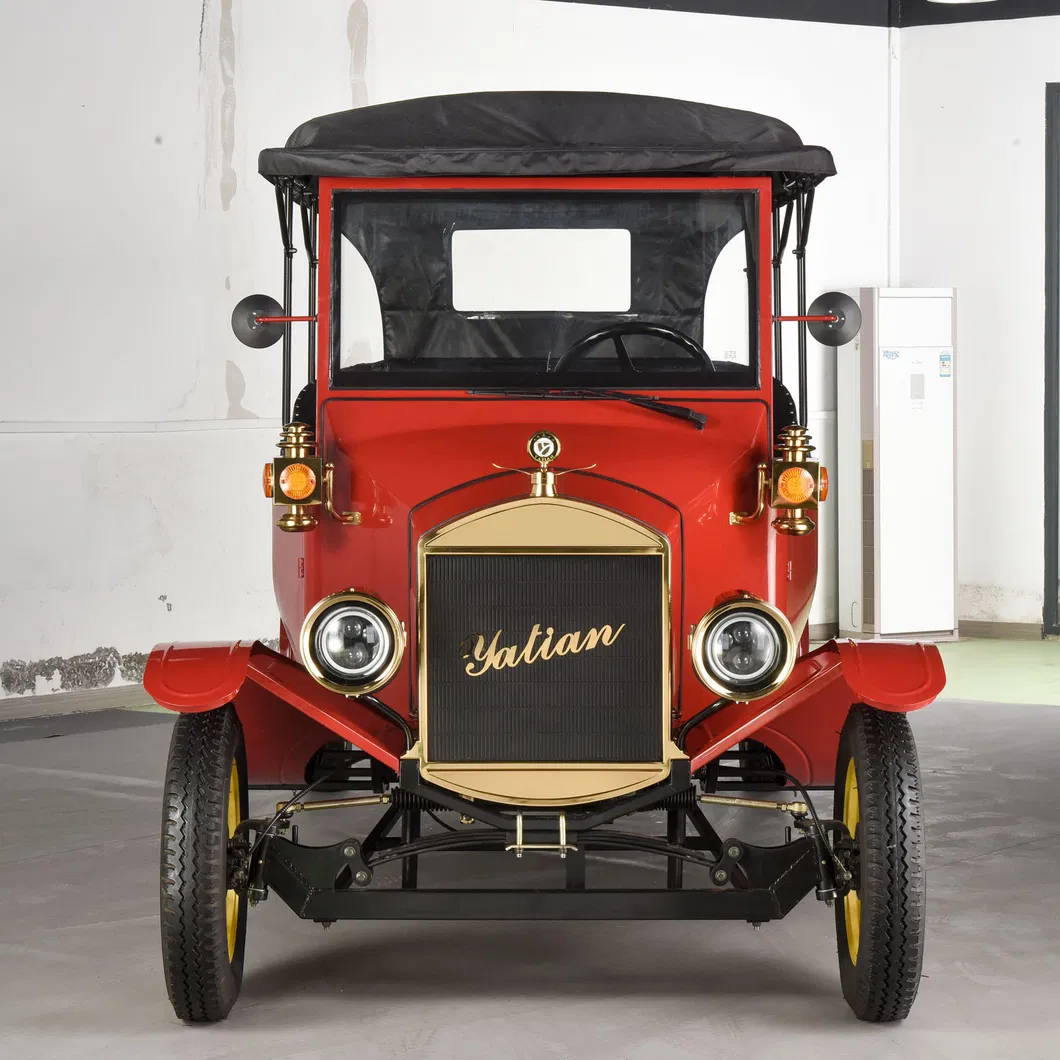 Sightseeing Golf Car 4