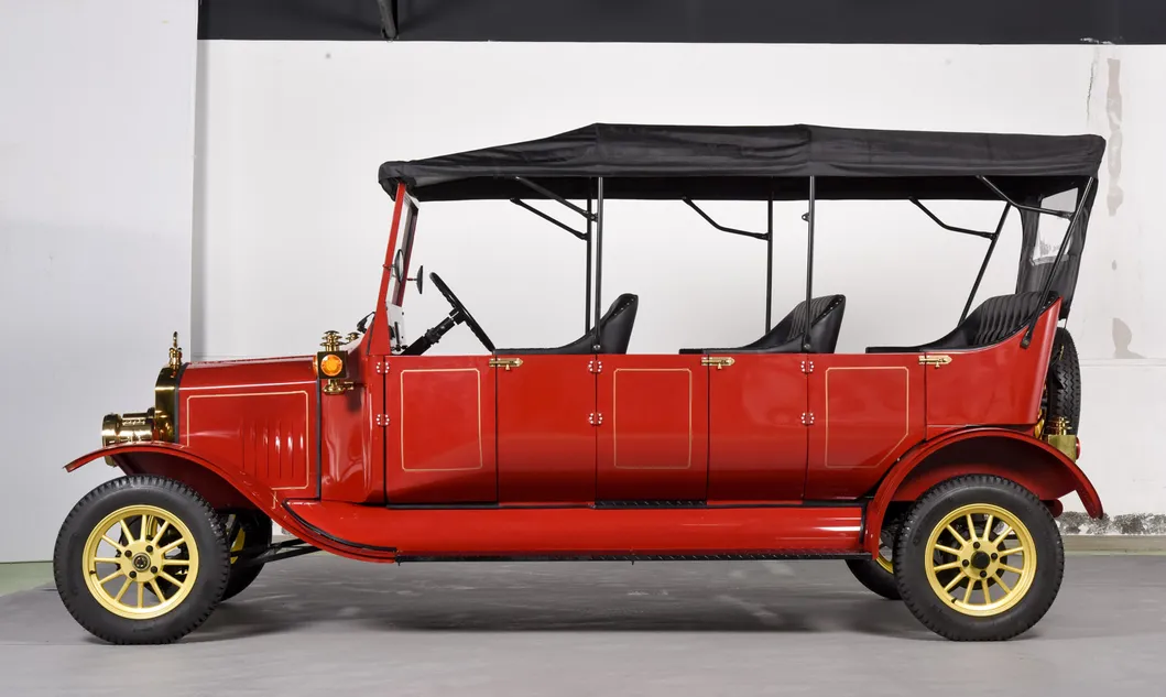 Sightseeing Golf Car 3