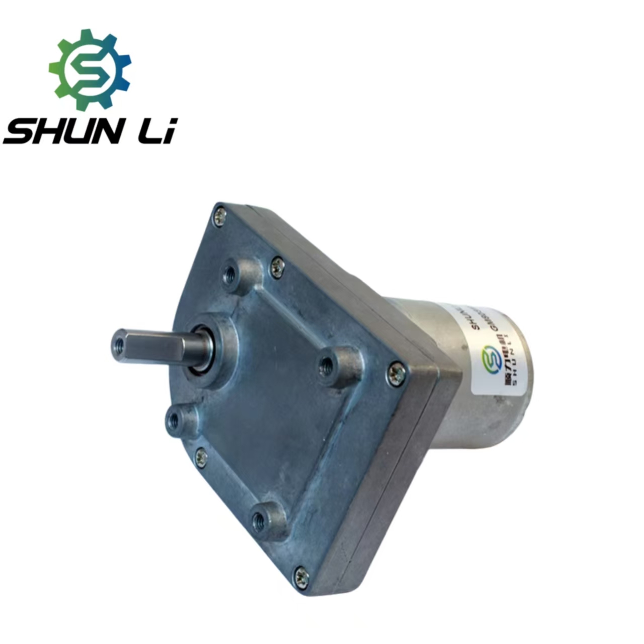 1 Rpm Worm Gear Dc Motor Reductor Dc 12v From Shenzhen Supplier