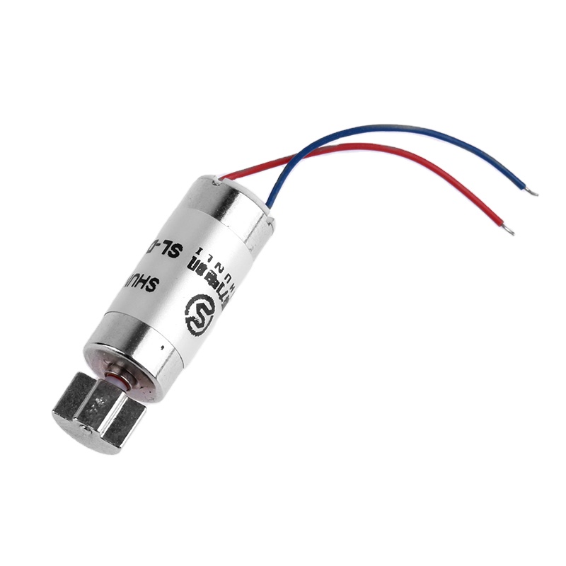 Shunli Custom Small Dc Motor Brush Low Rpm 2.4v 3.7v 5v Dc Electric Mini Vibrator Motor Adult Toy