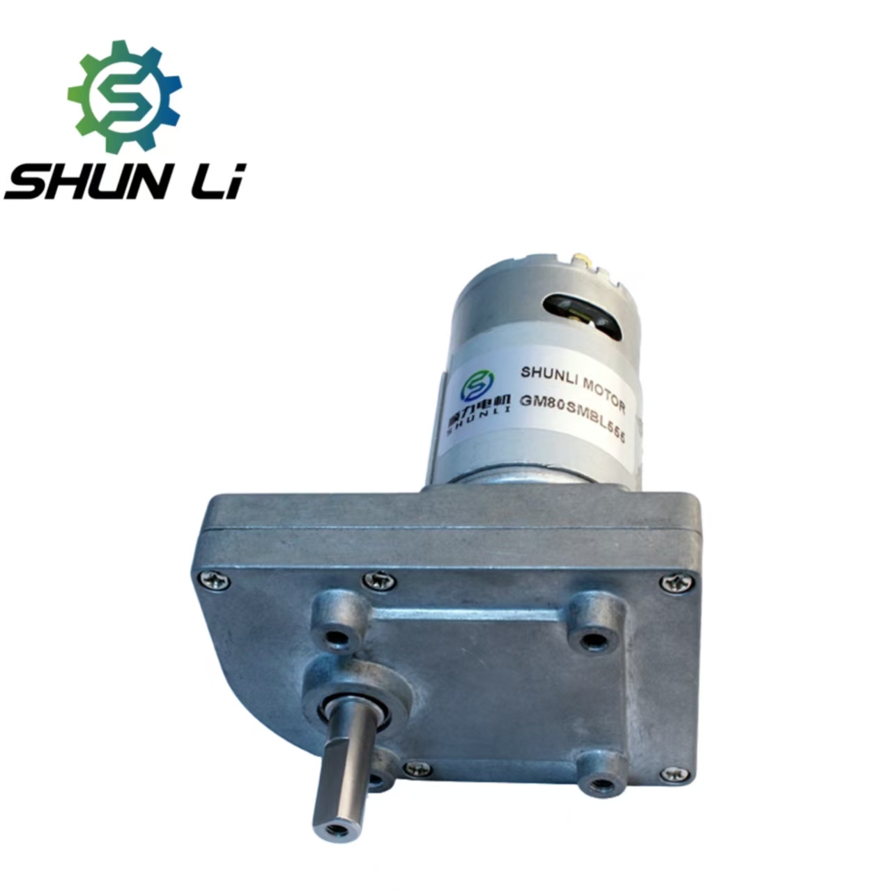 1 Rpm Worm Gear Dc Motor Reductor Dc 12v From Shenzhen Supplier
