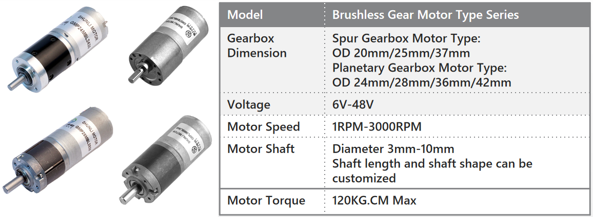 High Torque 12v 24v Brushless Dc Motor with Gear Reduction