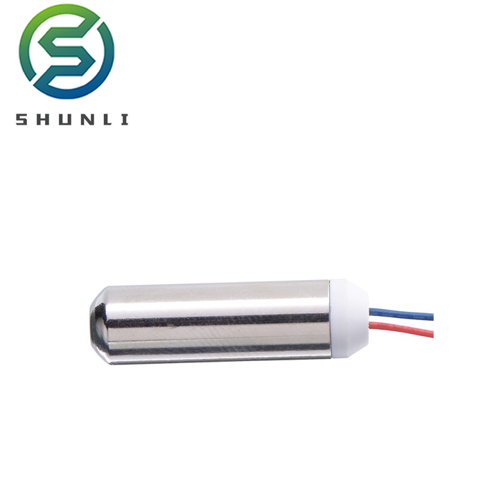 Shunli Custom 1.5v 3v 5v Micro Vibration Dc Mini Motor