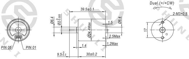Motor Customized Specification