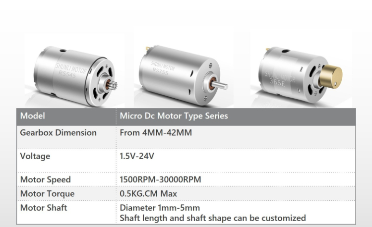 12v 6000rpm Dc Motor Product Detailed View