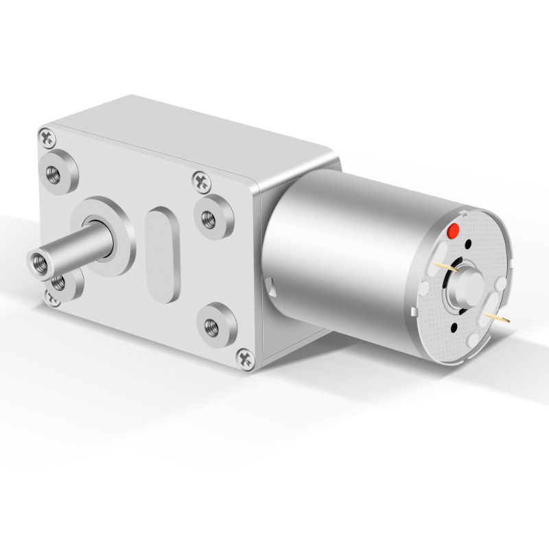 Shunli Customized Manufacturer 12v 24v Gearbox 25KG Micro Worm Gear Motor With Micro Dc Gear Motor Worm for Vending Machine