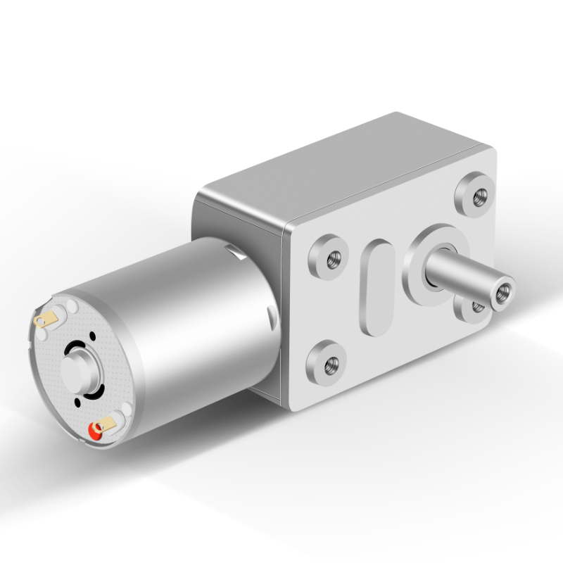 Shunli Customized Manufacturer 12v 24v Gearbox 25KG Micro Worm Gear Motor With Micro Dc Gear Motor Worm for Vending Machine