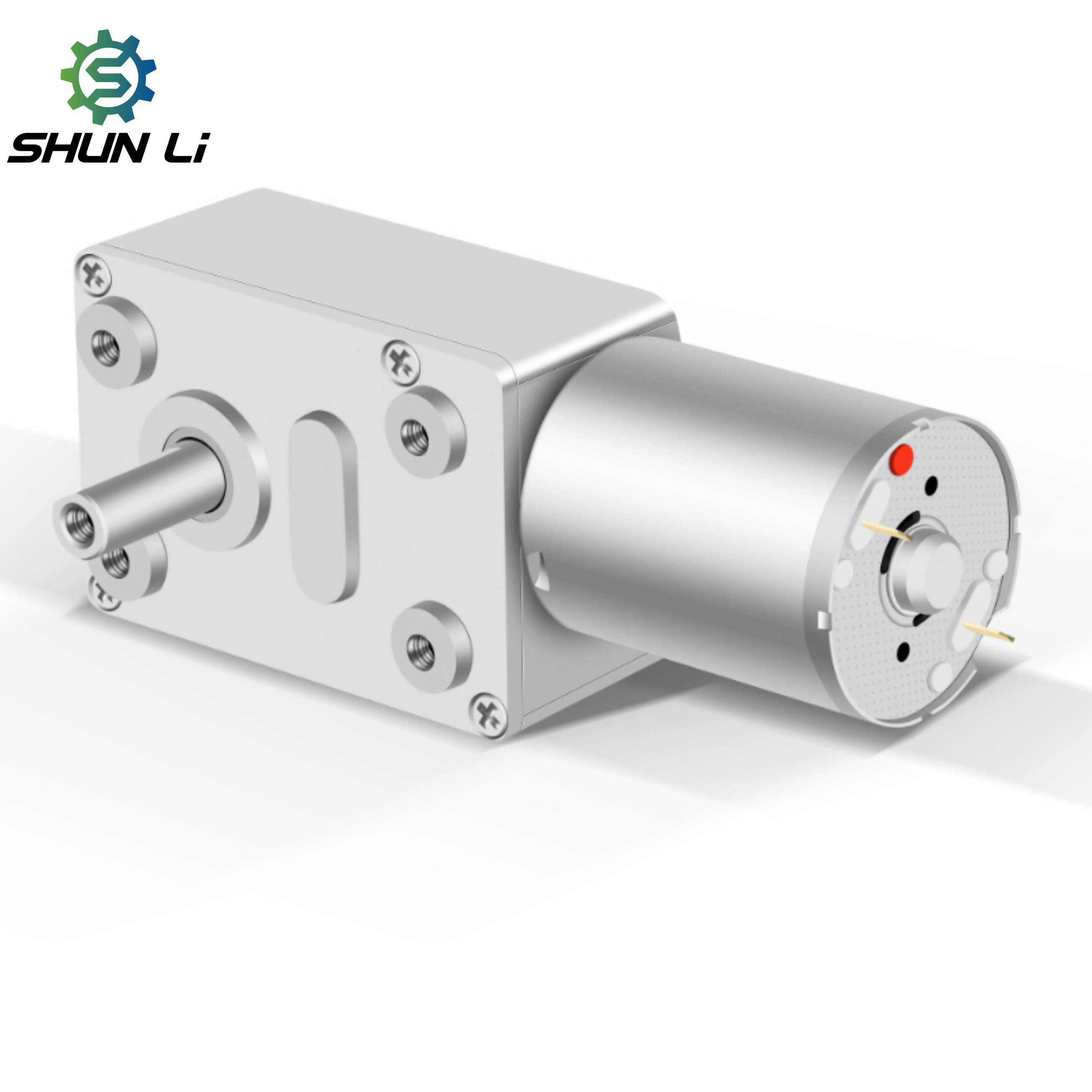 Shunli Customizable Small Electric Motor Worm Dc Gear Motor 12v Magnet