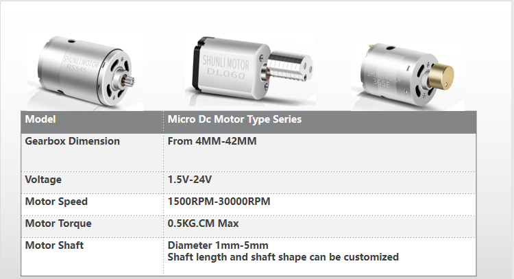 Micro DC Motor Feature 2