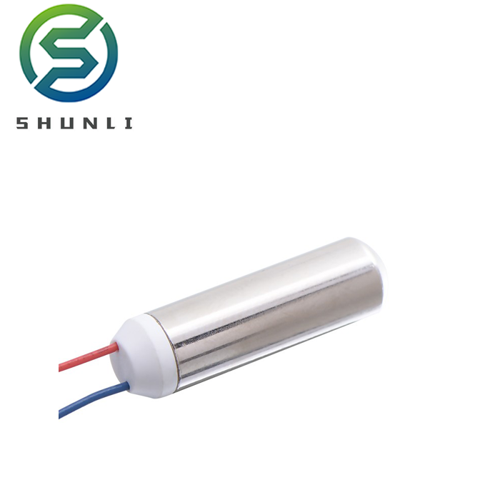 Shunli Custom 1.5v 3v 5v Micro Vibration Dc Mini Motor