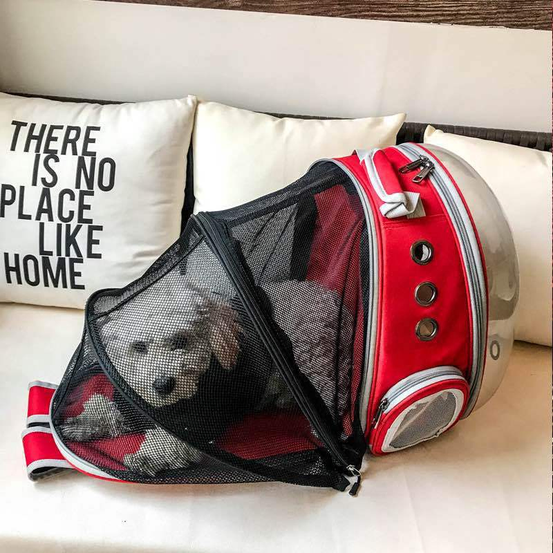 Capsule Clear Expandable Pet Cat Bag Backpack