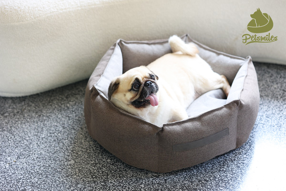 Rectangular Linen Fabric Dog Sofa Bed Comfortable Sustainable Pet Sofa Bed