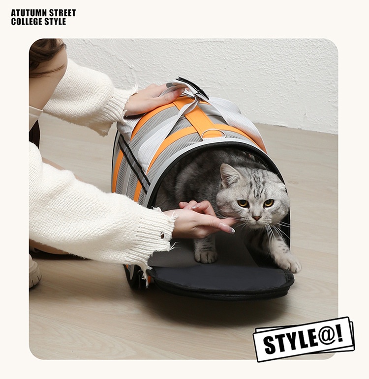 Pet Product Detail 2
