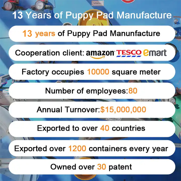Electronic Puppy Training Mat Travel Pet Dog Toilet Mat Pee Pads for Dogs Indoor Pet Training Mat Pads
