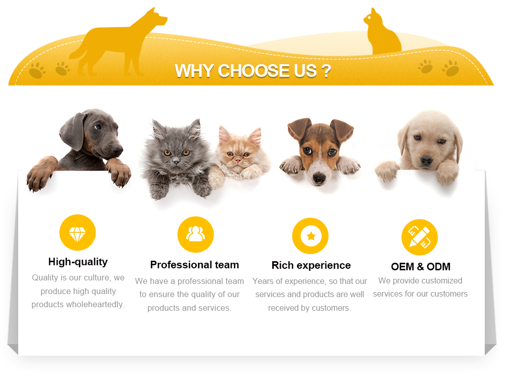 Why Choose Us Benefits