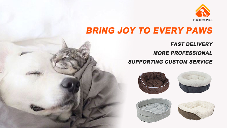 Pet Tent Presentation