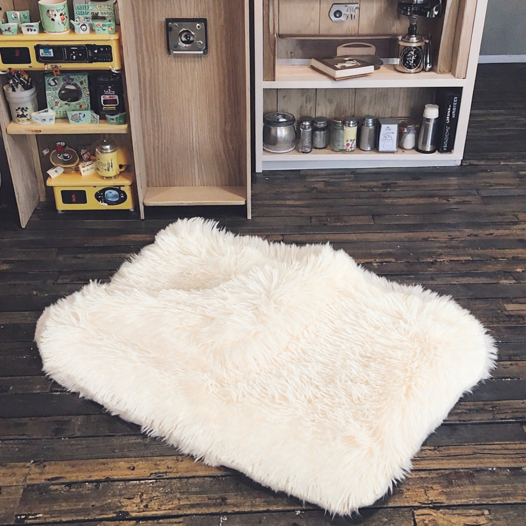 Premium Soft Fluffy Print Pet Blanket For Dogs And Cats In S /M /L / XL Sizes