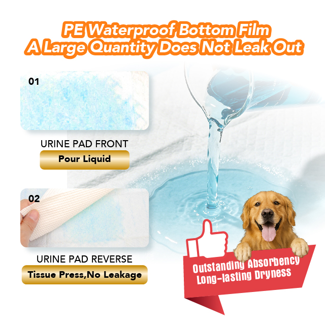 Wholesale Low MOQ Activated Carbon Fast Absorption Pet Training Pads Odor Control Wholesale Pet Pee Pad