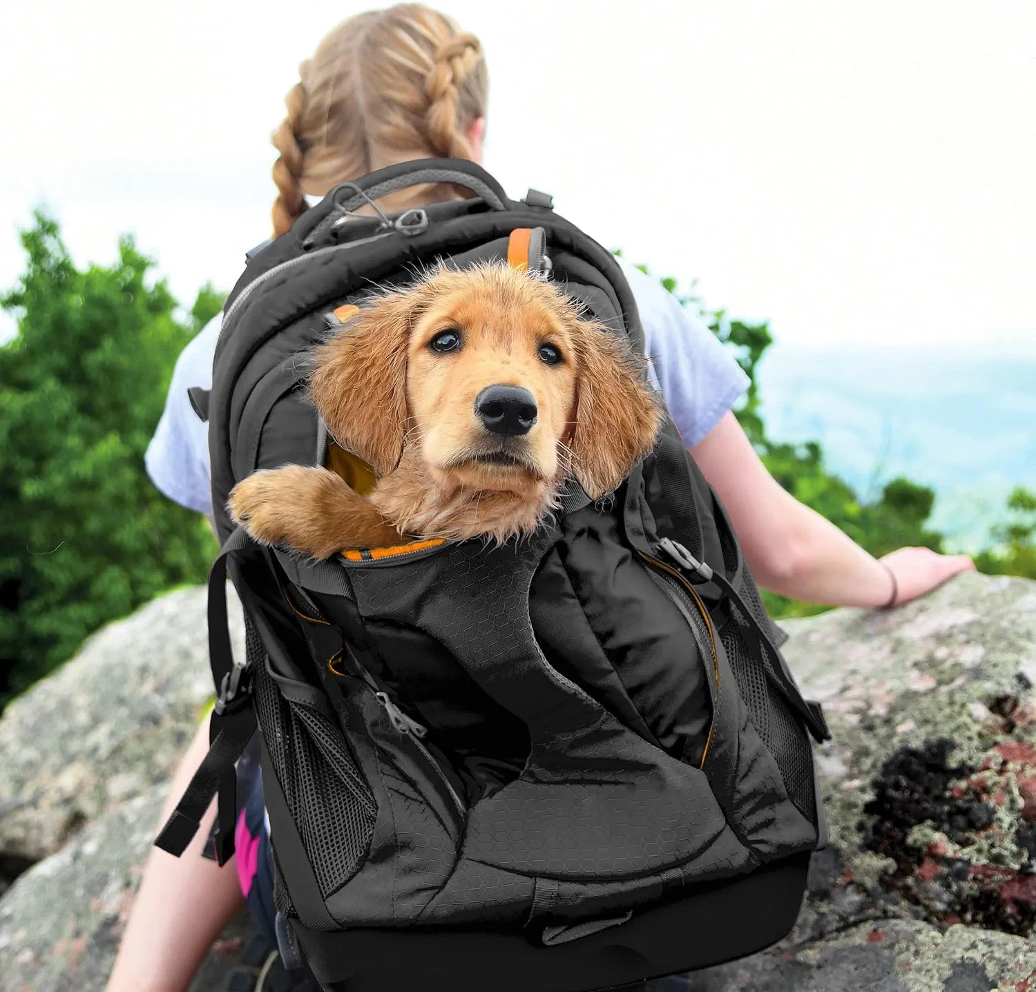 Dog Carrier Backpack for Small Dogs and Cats G-Train Pet Backpack Carrier Airline Approved Cat Backpack Small Dog Backpack for Hiking and Travel Lightweight Wat