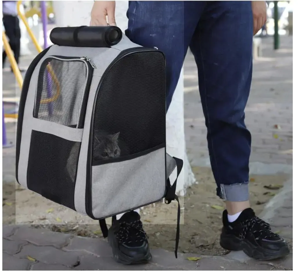 Pet Backpack 5
