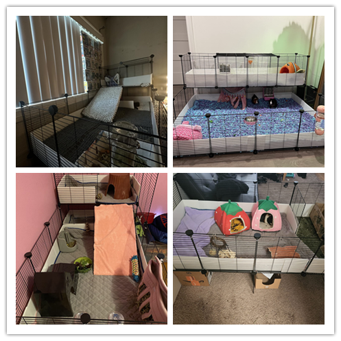 Guinea Pig Cage & Hamster Playpen Enclosure Foldable Luxury Classic DIY Layout with Stainless Steel Customizable