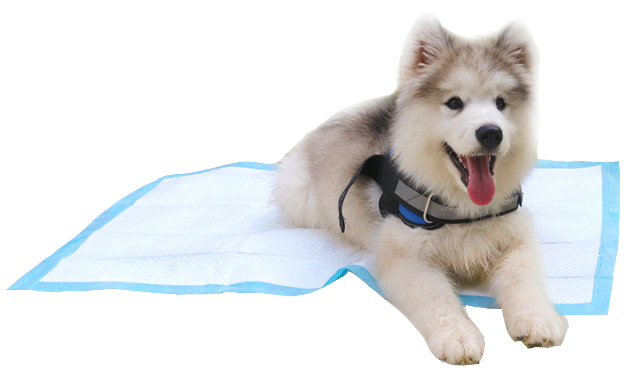 Wholesale Highly Absorbent Disposable Leakproof Pet Training Mat Dog Floor Diapers