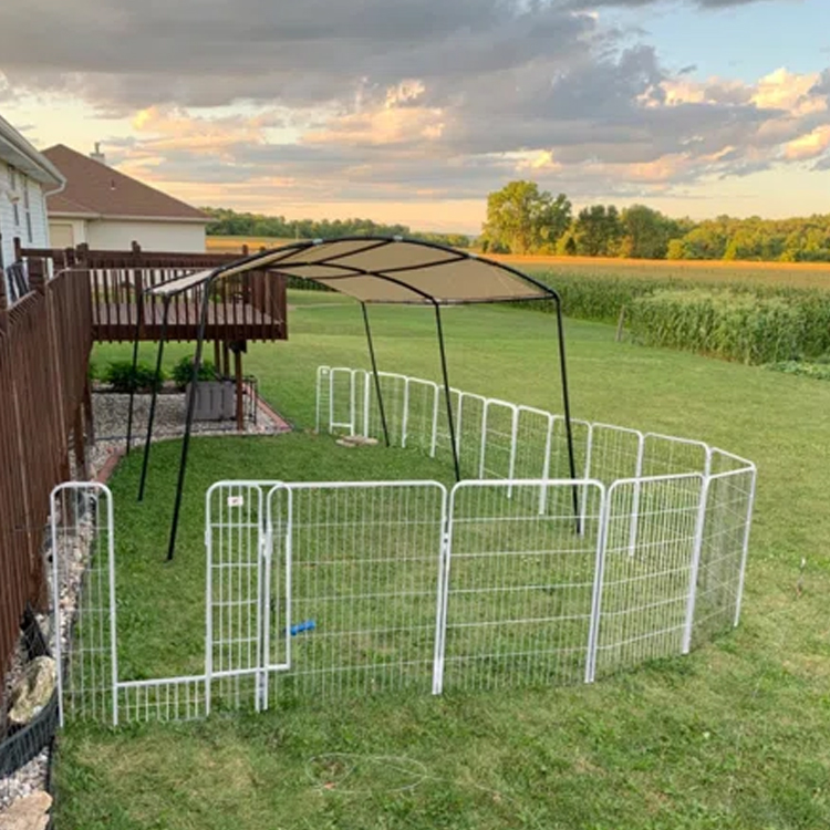 Cheap Portable Eco-Friendly Garden Fences And Borders For Dogs With Temporary Dog Run Enclosures And 3D Modeling