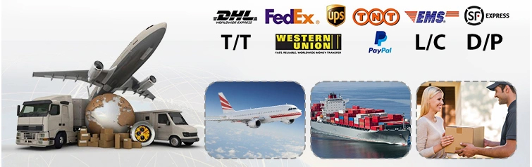 Shipping