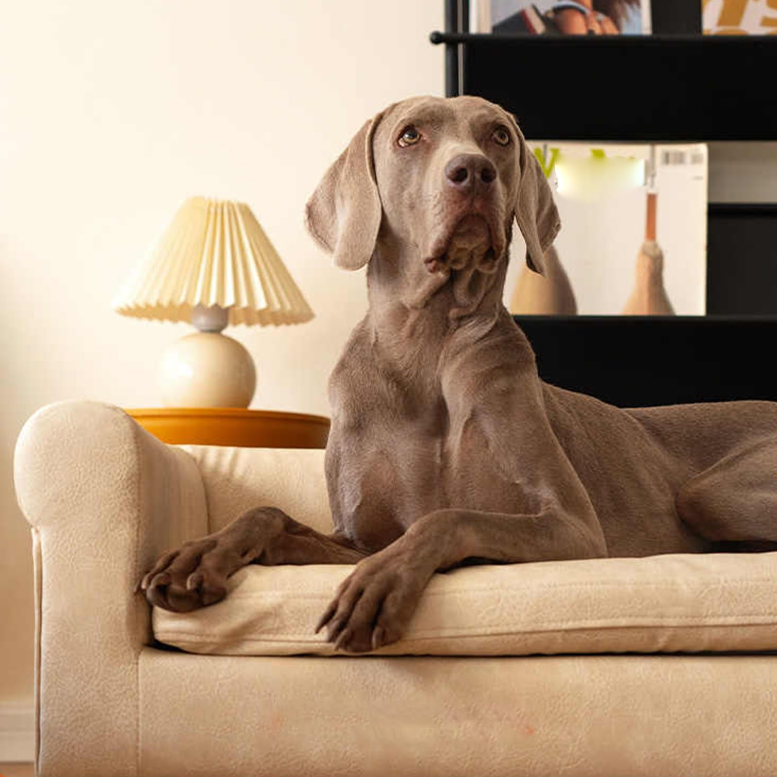Wooden Pet Sofa Bed for Large Dogs &amp; Cats, Removable Washable Elevated Dog Bed with Wood Frame, All-Season Pet Bed