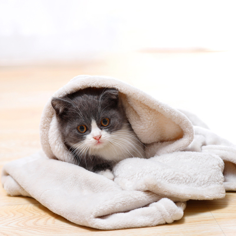 Super Soft Coral Fleece Pet Blanket for Cats and Small Dogs