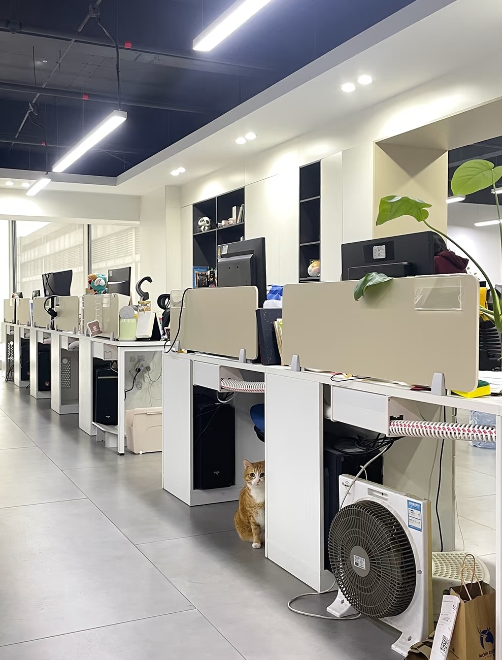 Production Display