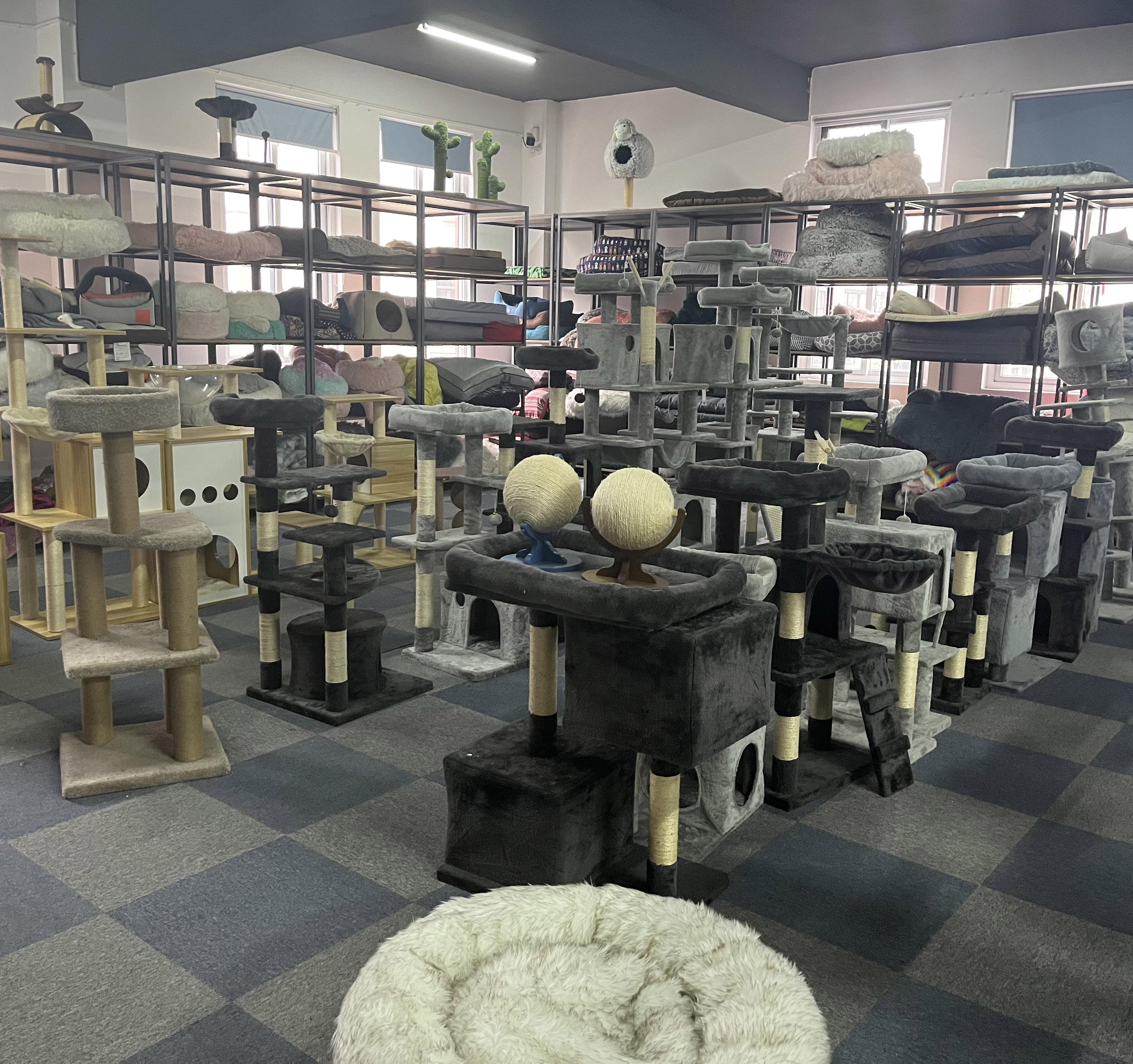 Showroom 3