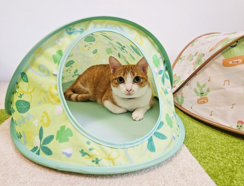 OEM Ultralight Pet Tent Popup Automatic Outdoor Indoor Pet Tent