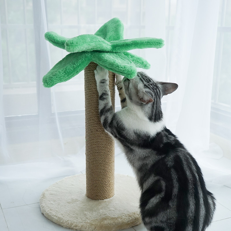Pet Product Details 1