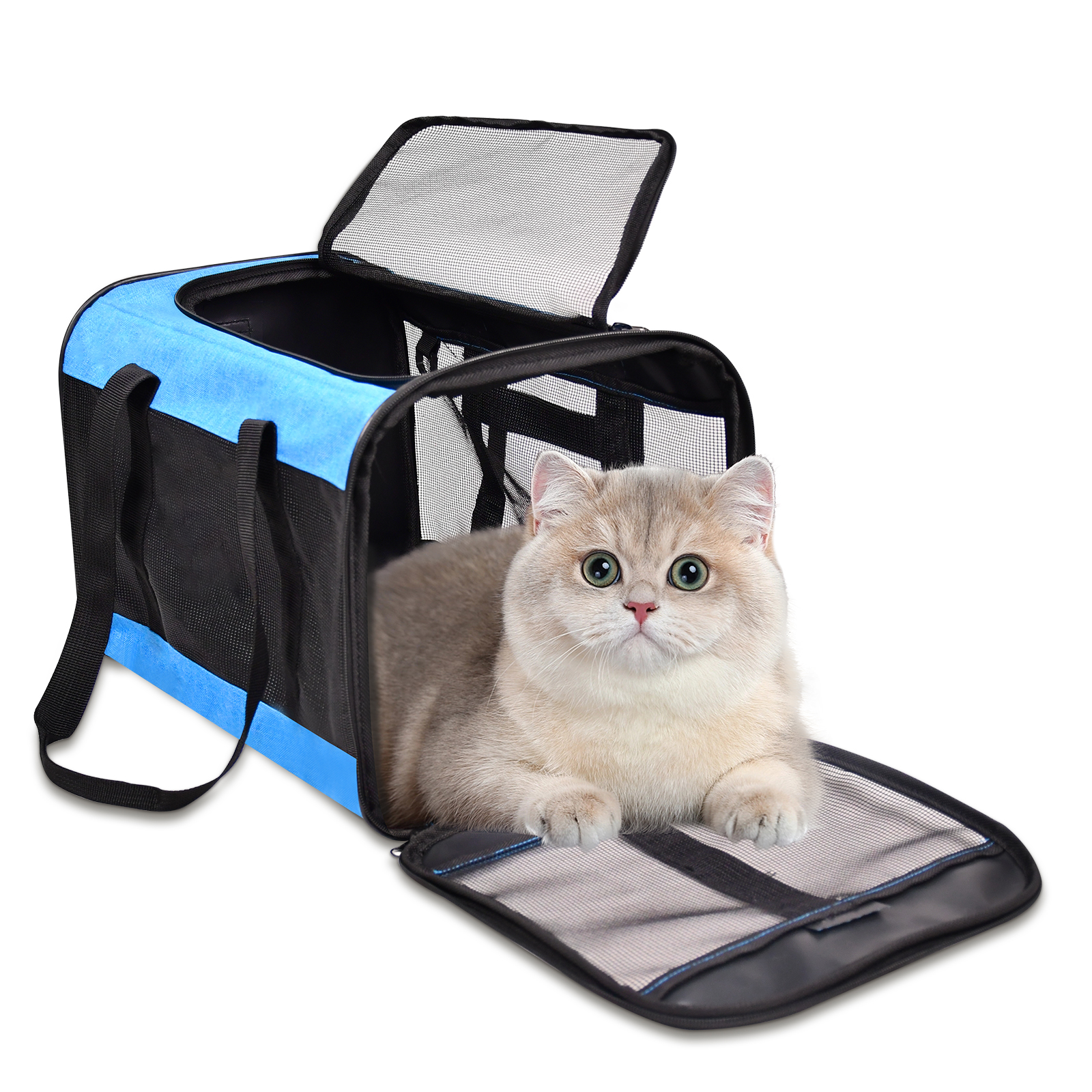 Ready to Ship Foldable Pet Carrier Portable Breathable Soft-Sided Airline Approved Cat Carrier