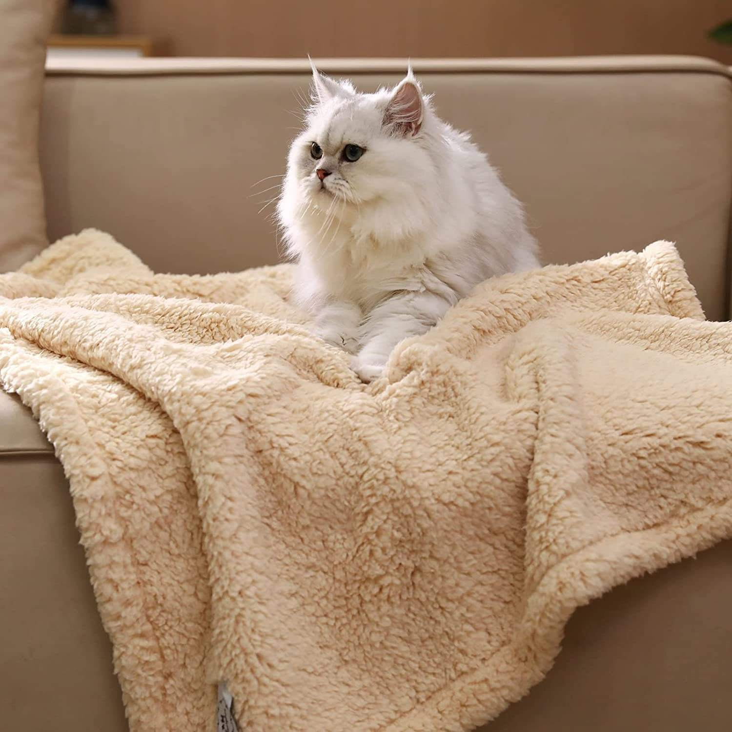 Pet Blanket Detail 6