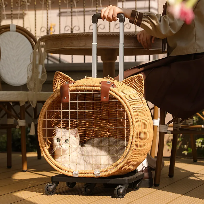 Pet Carrier 2
