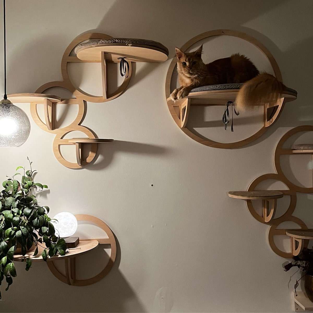 Wholesale High Quality Classic Eco-Friendly Solid Wood Wall Mounted Cat Scratcher Shelf Cat Hammock Cat Tree Wall Climbing Frame