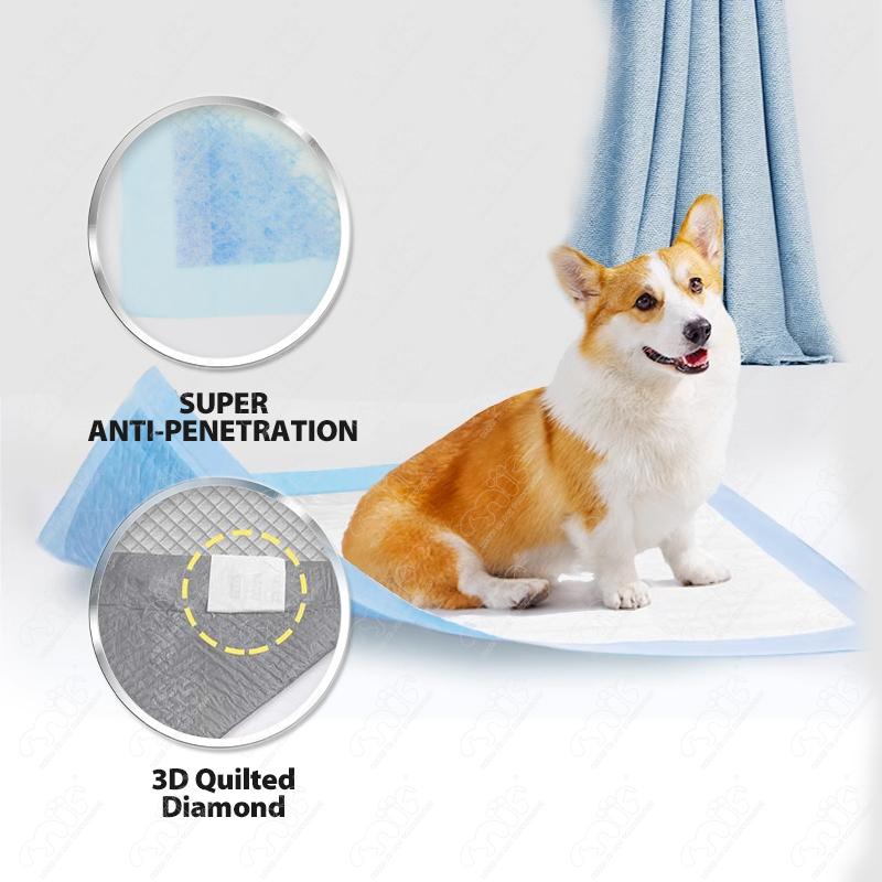 Wholesale Low MOQ Activated Carbon Fast Absorption Pet Training Pads Odor Control Wholesale Pet Pee Pad