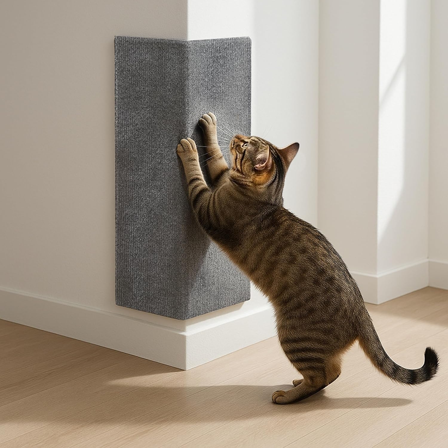 Wall Cat Scratcher &amp; Corner Cat Scratcher &amp; Indoor Scratching Post &amp; Carpet Scratching Pad &amp; Corner Scratchers For Indoor Cats