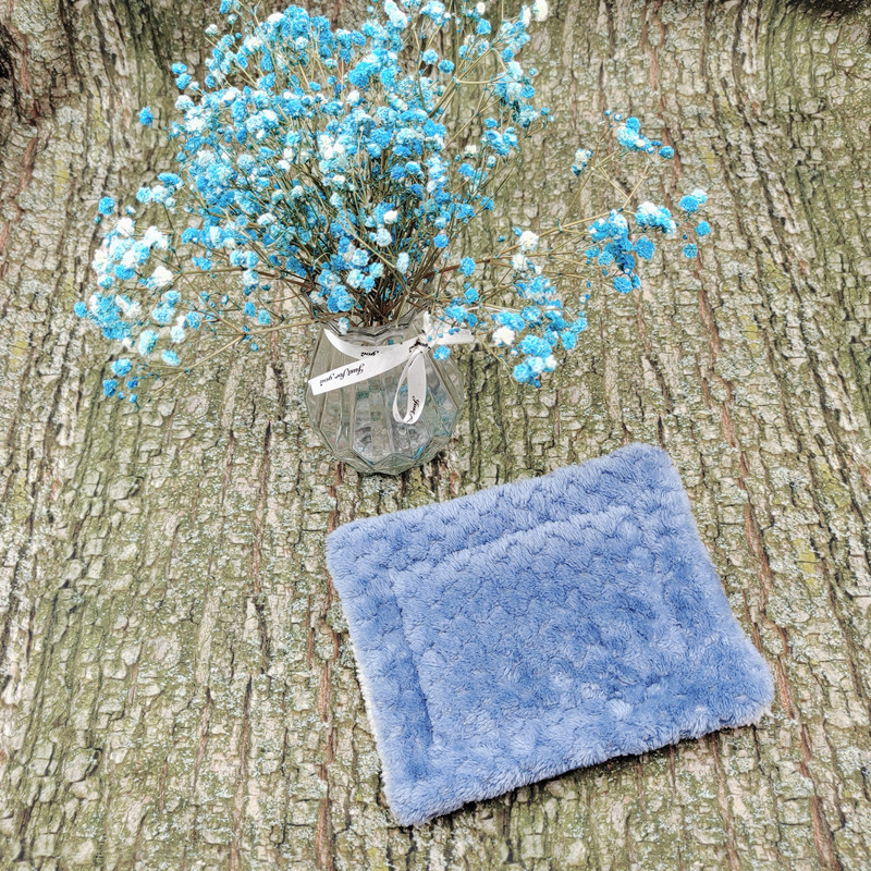 Pet Mat Gallery 3