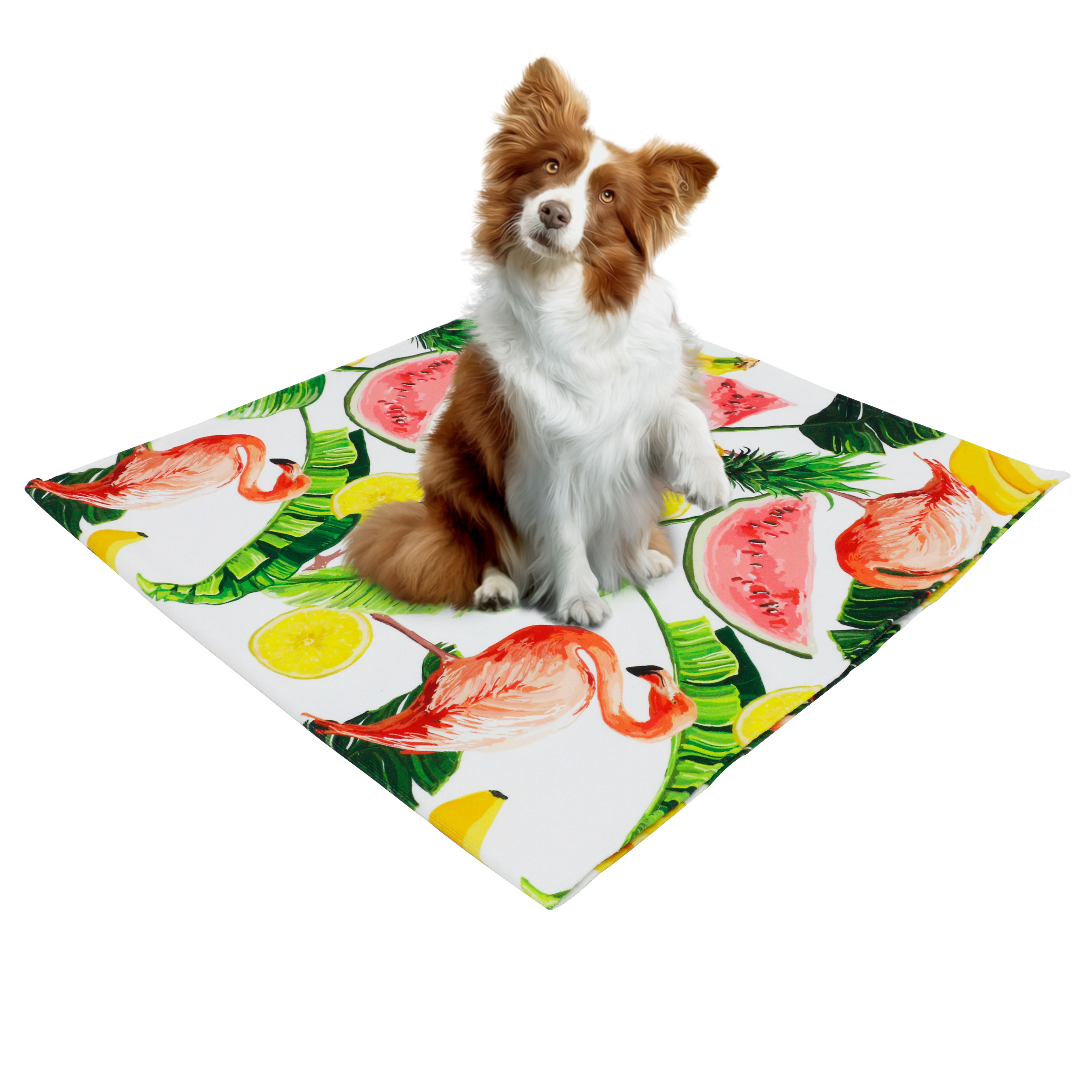 Pet beach towel