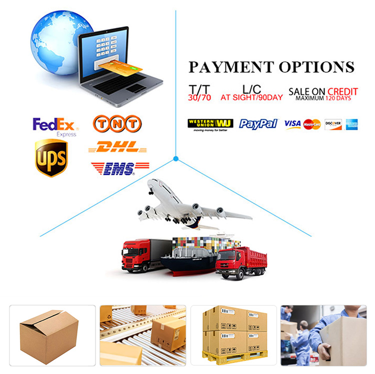 Shipping Logistics