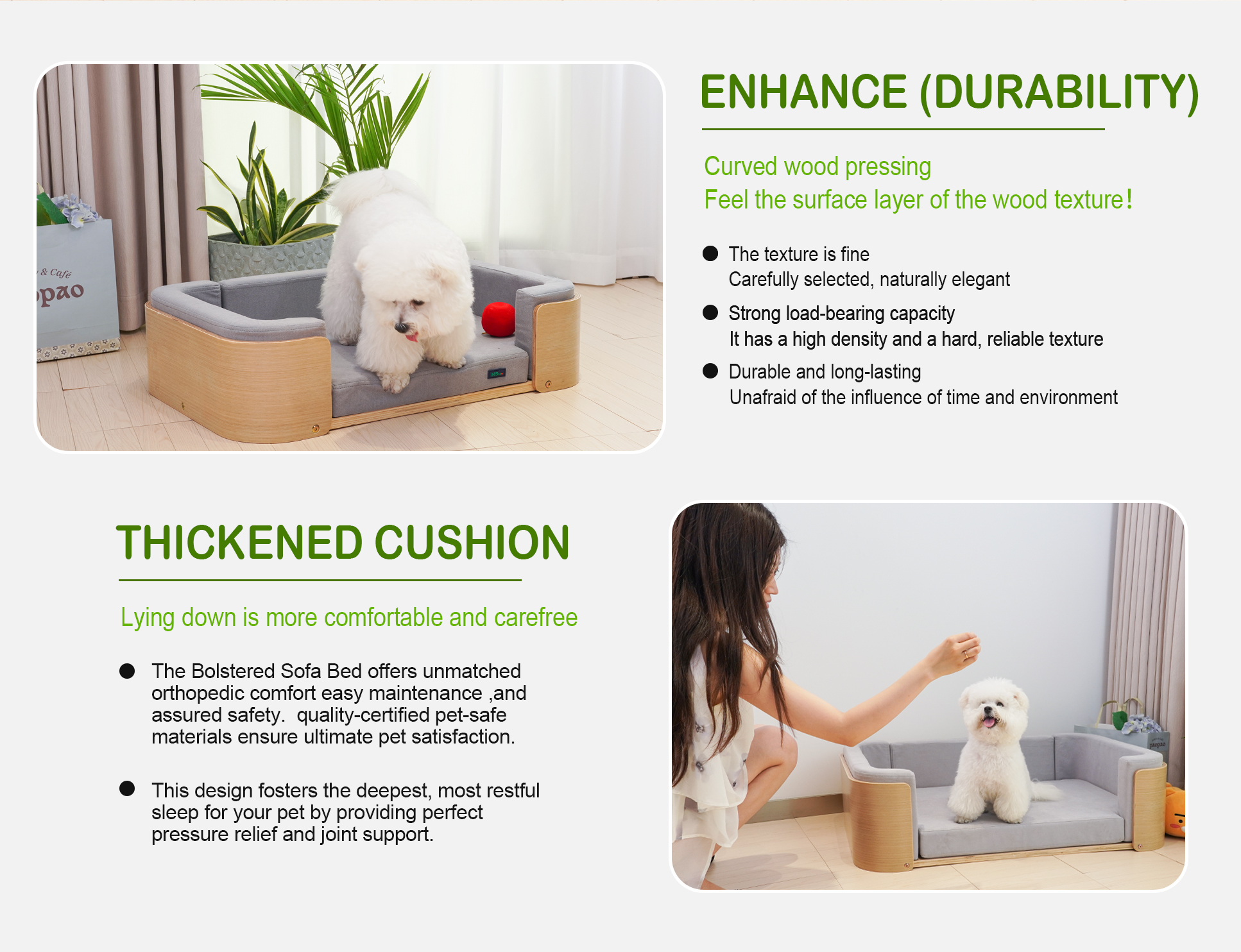 Pet product display 2