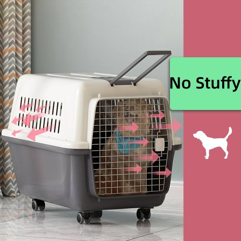 Durable Plastic Pet Carrier Collapsible Wheeled Luxury Pet Airport Carrier Custom Cardboard Pet Carrier For Outdoor Transport