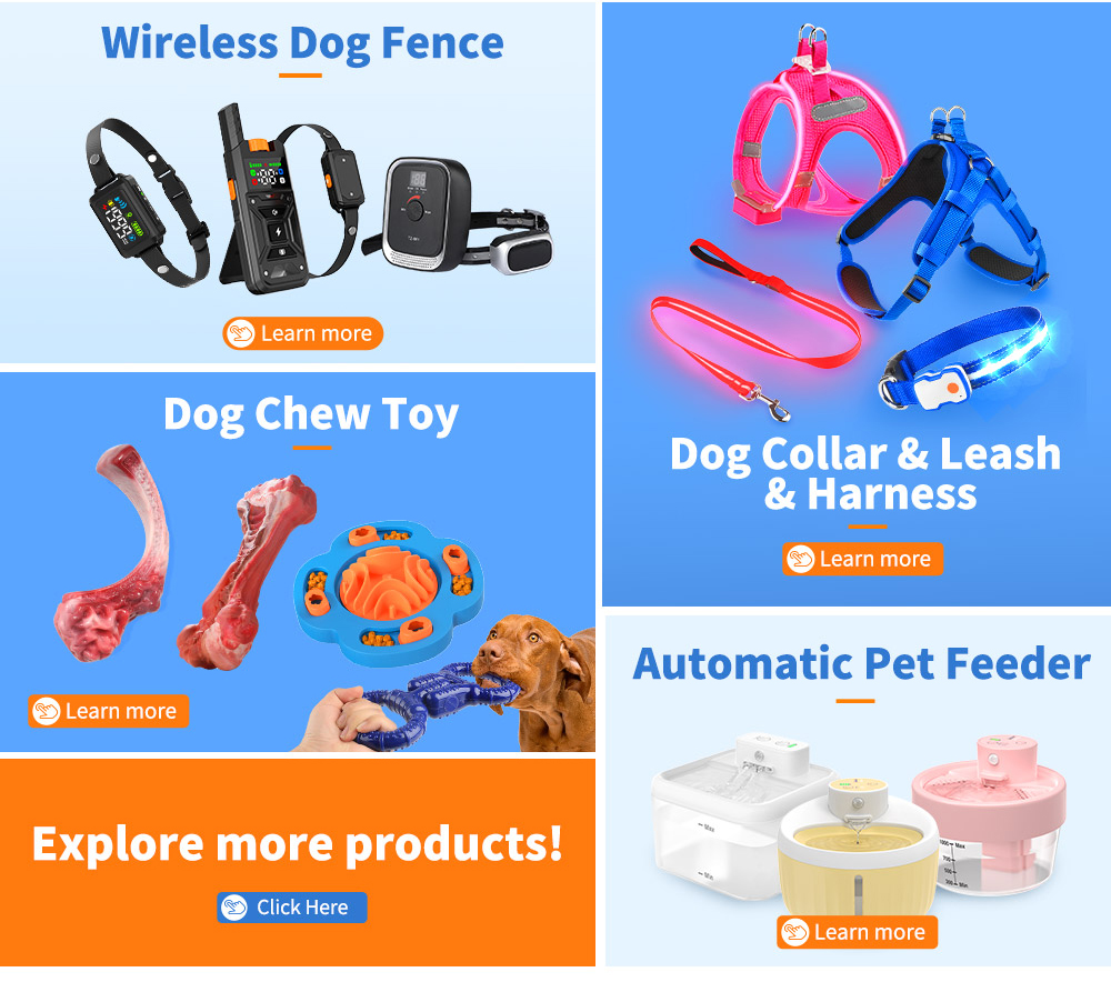 Pet Accessories