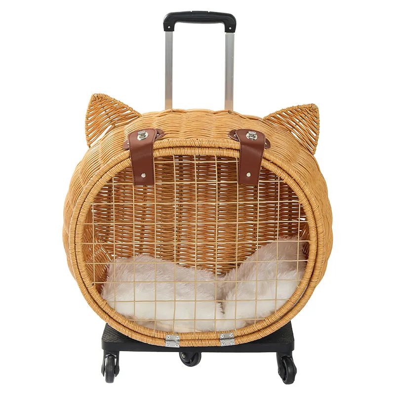 Pet Carrier 4